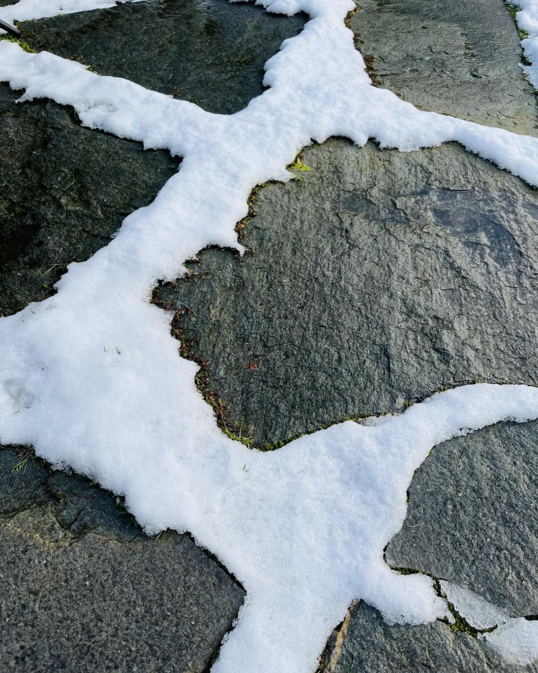 Delaplace tuinonontwerp tuinarchitectuur